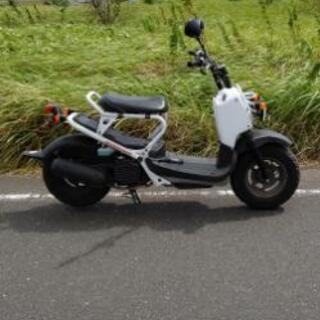 ホンダ ズーマー AF58の画像