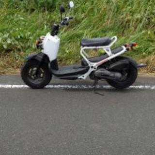 ホンダ ズーマー AF58の画像