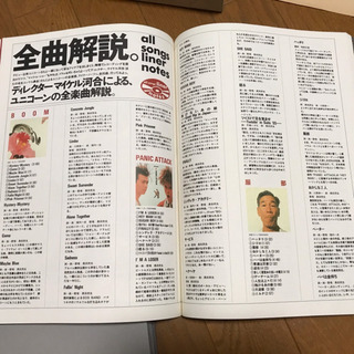 ユニコーン解散記念本 「どしたん」の画像