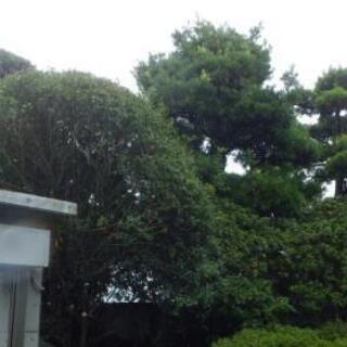 造園・剪定・草刈作業員(定員2名まで)※賃金の訂正忘れのため再掲載