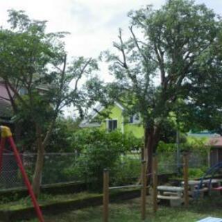 造園・剪定・草刈作業員(定員2名まで)※賃金の訂正忘れのため再掲載の画像
