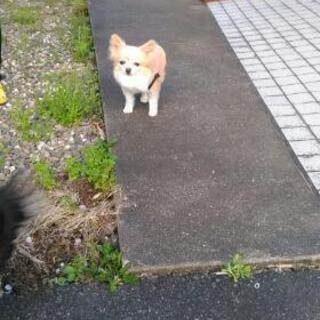 造園作業員(1名まで)の画像