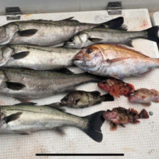 ジギング、船釣りメンバー募集 ！！ − 三重県