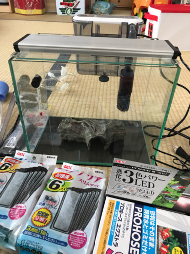 年末年始限定！メダカ等の小型室内魚飼育セット【水槽ほか】