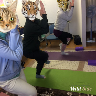 学園前／初心者向け女性ヨガ教室／少人数でアットホームの画像