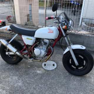ape50 