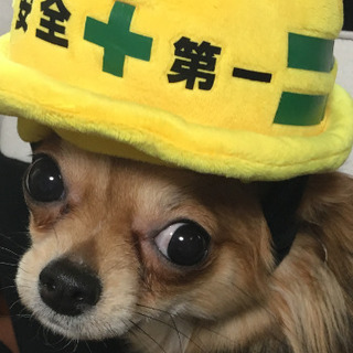 「正社員募集」（地盤改良工・薬液注入工）楽しく安全に仕事ができる...