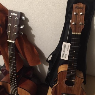 ♪無料の体験レッスン受付中♪の画像