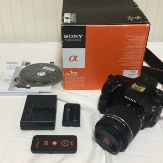 SONY SLT A65デジタル一眼
