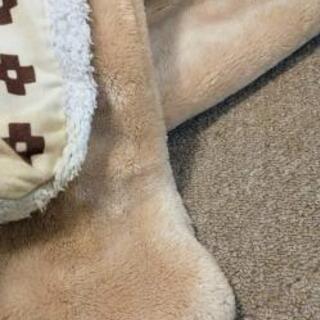こたつ★天然木製折れ脚フラットヒーターこたつ105x75cm 布団付きの画像