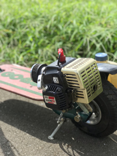 ゴーペット ゴーペッド ビッグフットカスタム多数！