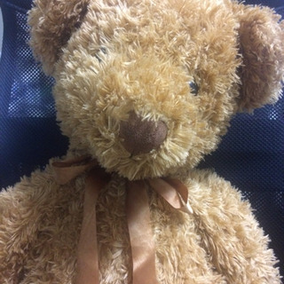 ぬいぐるみの画像