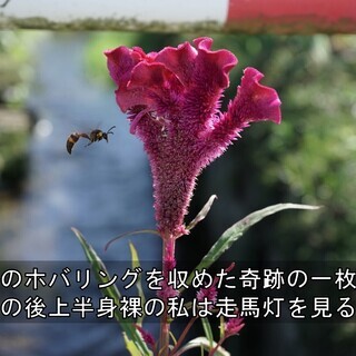 小さな山を散歩する会 - メンバー募集