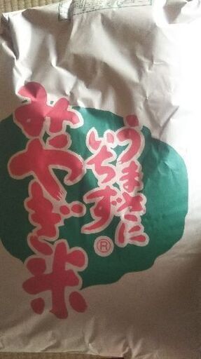 新米令和1年産東北194号(ササ結)(環境保全米)玄米30Kg