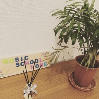 ♪無料の体験レッスン受付中♪の画像