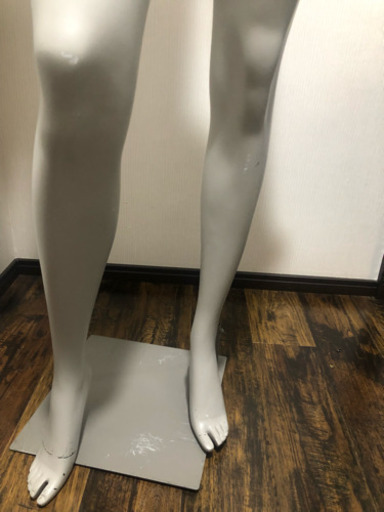 訳ありデジグアル  トルソー