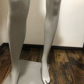 訳ありデジグアル トルソー