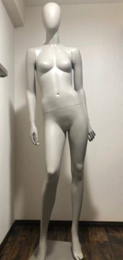 訳ありデジグアル  トルソー