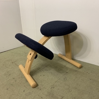 Rybo社 バランスチェア・イージー 純正カバー（ブルー）付 楽天市場】バランスチェア バランスイージー 撥水 ニット カバー