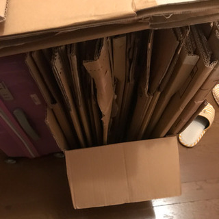 【無料】ダンボール譲りますの画像