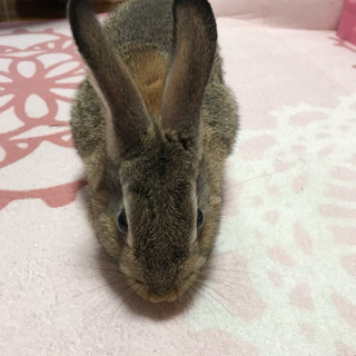 生後2カ月です