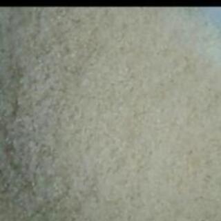 無農薬コシヒカリ 新米の画像