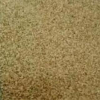 無農薬コシヒカリ 新米の画像