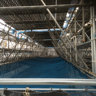 日払い とび 鳶 未経験大募集の画像