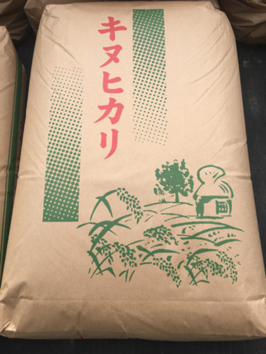 キヌヒカリ 60kg 令和4年！新米