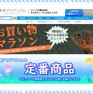 一般事務＆ECサイトの運営/管理アシスタント♪ 未経験者大歓迎！年齢/性別不問♪ 「ネットが好き、SNSが好き」を活かせます◆土日祝休み！の画像