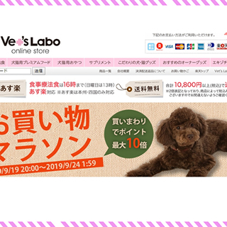 一般事務＆ECサイトの運営/管理アシスタント♪ 未経験者大歓迎！年齢/性別不問♪ 「ネットが好き、SNSが好き」を活かせます◆土日祝休み！の画像