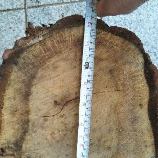 広葉樹コナラの薪割り台。丸太テーブル、丸太椅子にも。茨城県潮来市。の画像