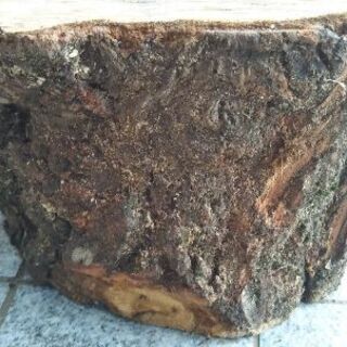 広葉樹コナラの薪割り台。丸太テーブル、丸太椅子にも。茨城県潮来市。の画像