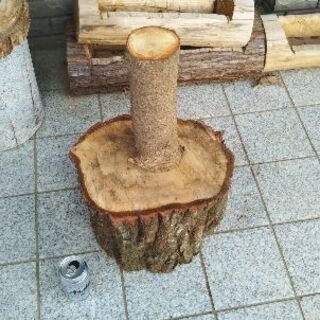 広葉樹コナラの薪割り台。丸太テーブル、丸太椅子にも。茨城県潮来市。の画像