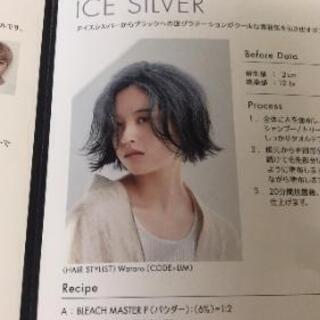 インナーカラーモデル募集