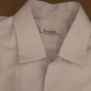 中学校 開襟シャツ