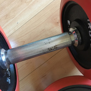 アイロテック ファイティングロード ダンベル 重り55kgの画像