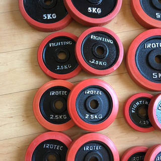 アイロテック ファイティングロード ダンベル 重り55kgの画像