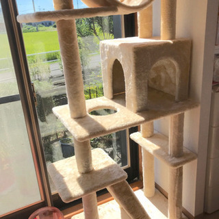 キャットタワー ！説明書付き！美品の画像
