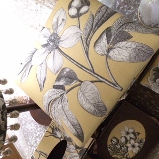 エレガント女子のお稽古サロン◇ル’ジャスミンの画像