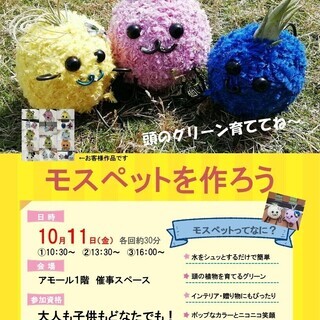 モスペットを作ろう♬　～かわいくて癒される新感覚のインドアグリーン～
