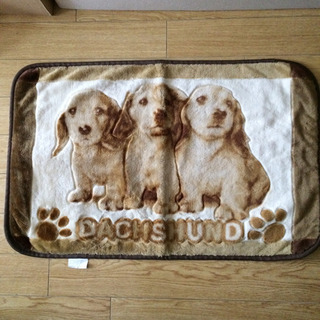 値下げ!綺麗です☆玄関マット等に！■ゴールデンレトリーバー