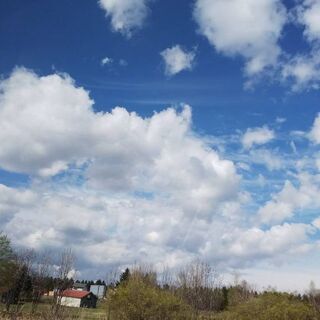 急遽ドラムさん探しています❗️