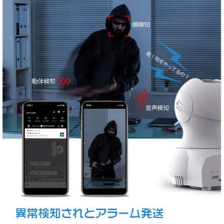 ［値下げしました］ネットワークカメラ 防犯，監視，見守りなどにの画像