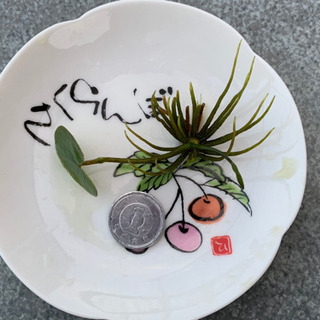 No.2 ガガブタ 水草 浮草 浮き草 メダカ の画像