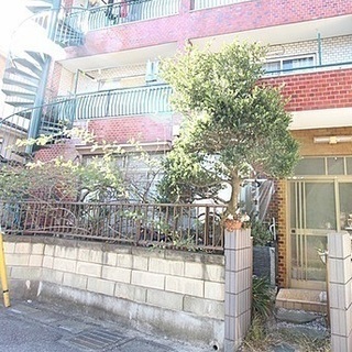 植木差し上げます