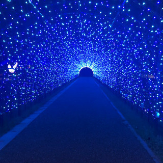 ゆりの里公園 ライトアップ 10月3日