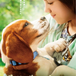 9\28(土) 僕のワンダフルジャーニー観に行きませんか？
