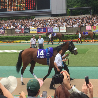 スプリンターズステークス🏇