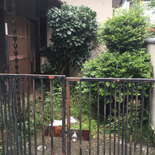 「完全日払い急募」草刈り  伐採  手元作業及び袋詰め作業の画像